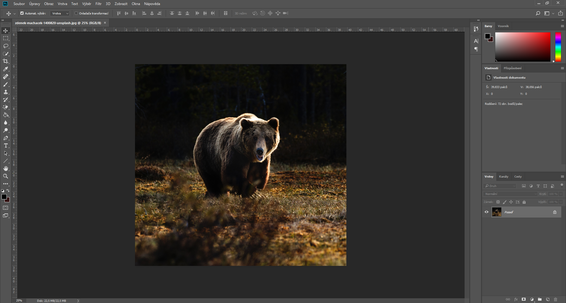 Fotografie: Zdeněk Macháček/unsplash.com/@zmachacek - Základy Adobe Photoshop