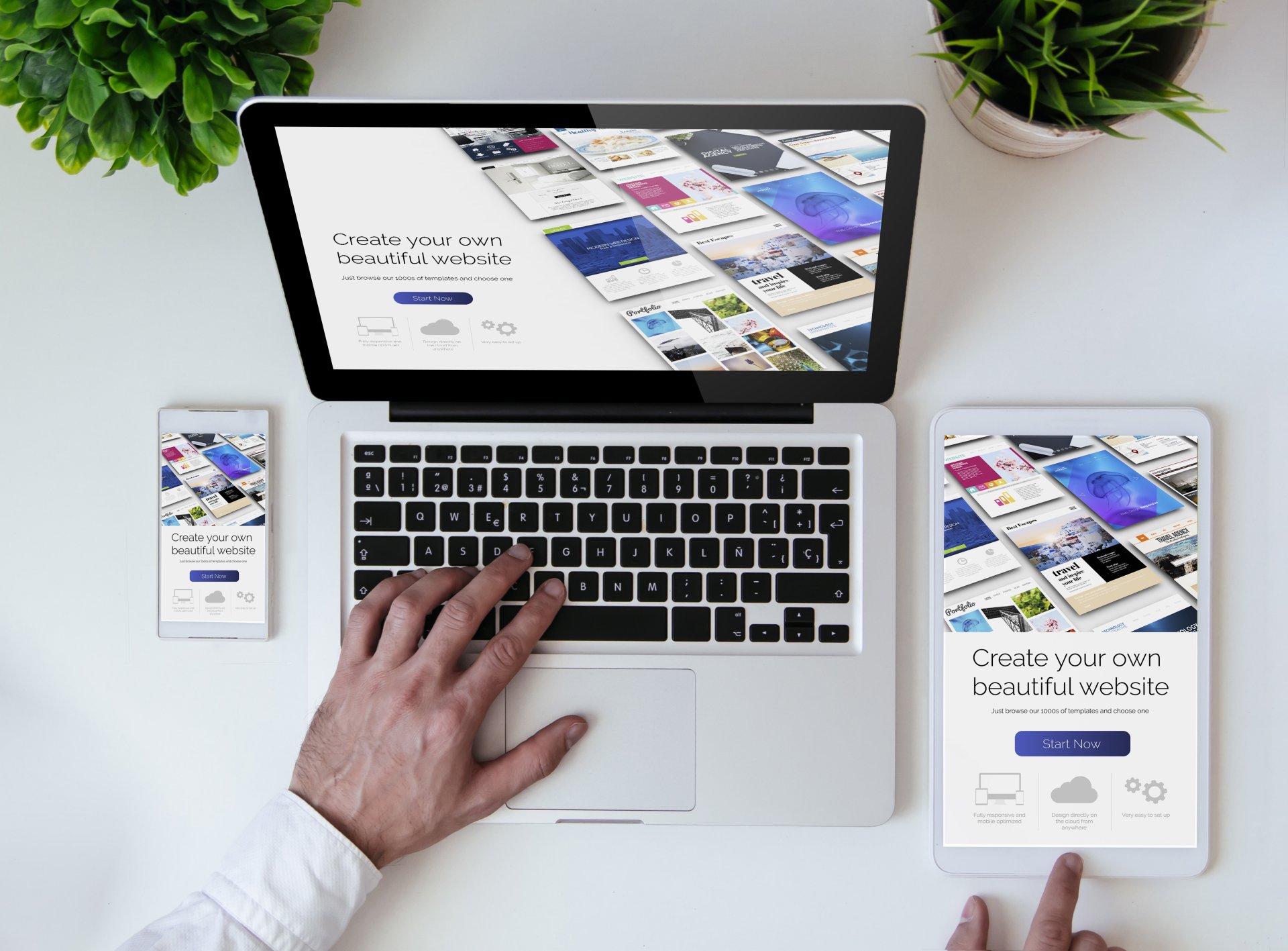 Responzívny web - WordPress - Základy - WordPress - Základy
