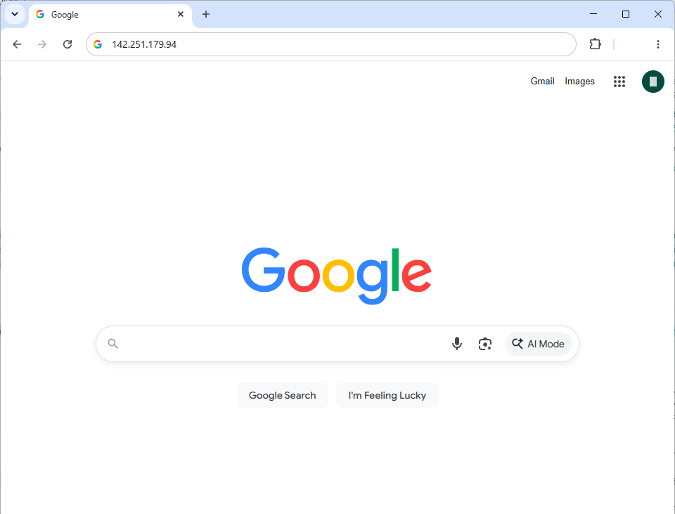 Stránka Google otvorená pomocou IP adresy - Správa serverov a služieb