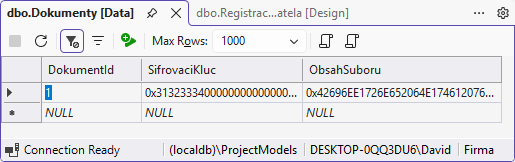 Binárne typy - MS-SQL databázy krok za krokom