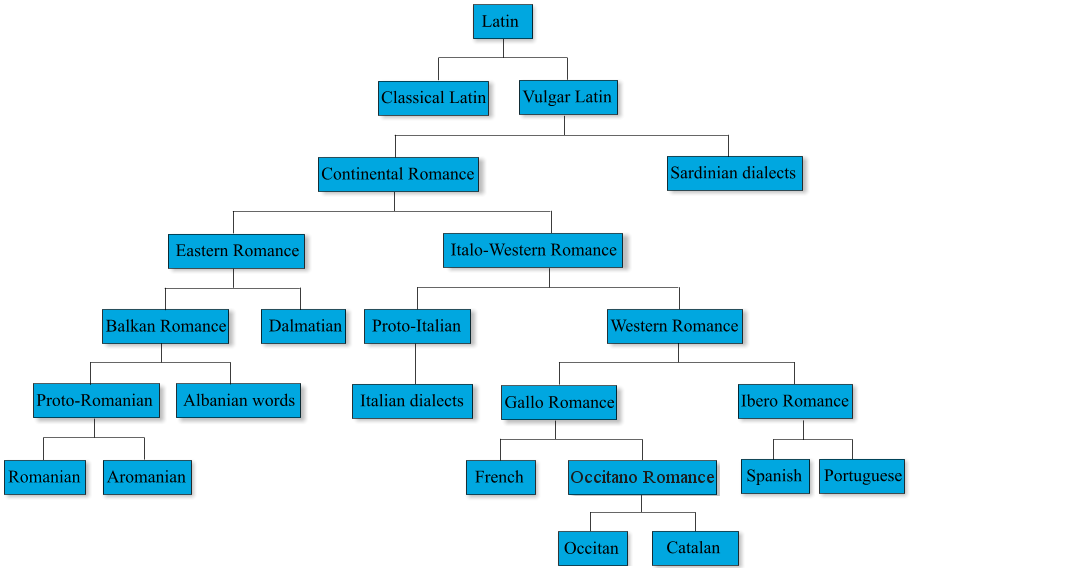 Strom vývoja jazykov z latinčiny - Grafové algoritmy