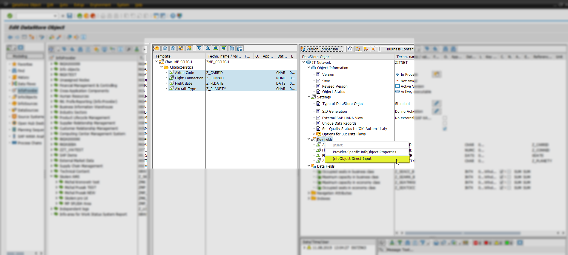 modelovanie DSO - Sap