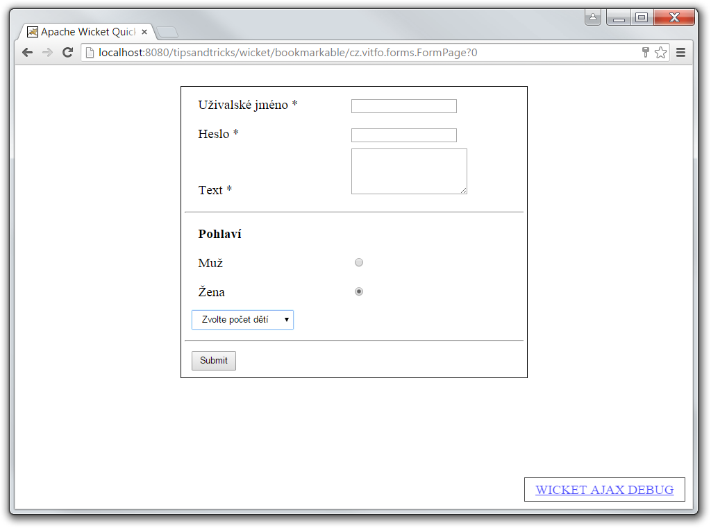 formulár s RadioGroup a Radio - Tipy a triky pre Wicket