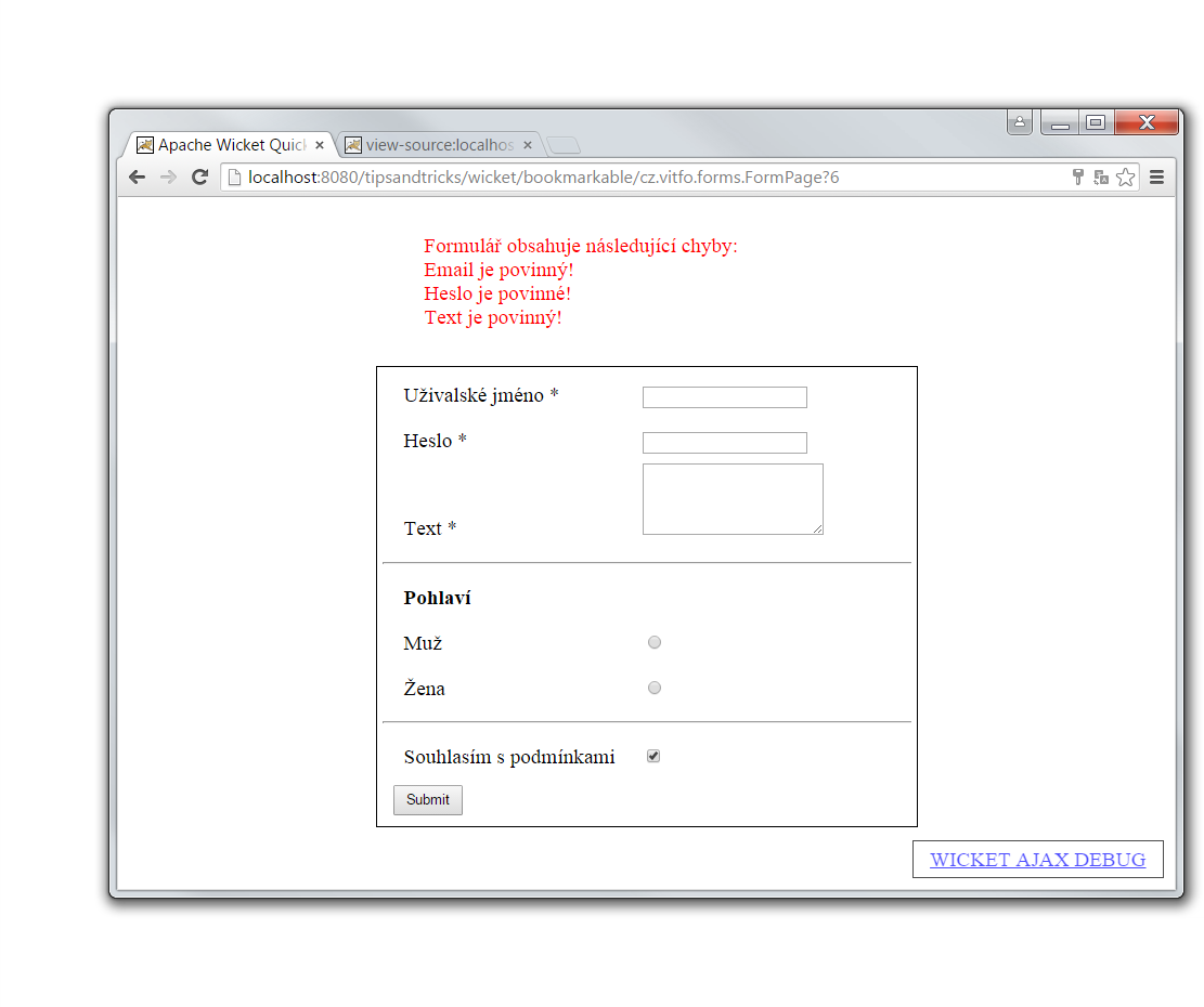 formulár so zobrazením chýb - Tipy a triky pre Wicket