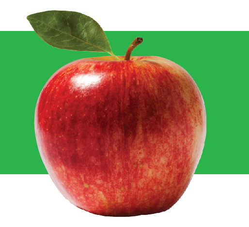 Základy Adobe Illustrator