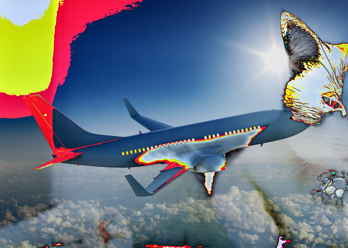 Sčítanie pixelov obrázka v Pythone - Analýza obrazu a videa v Pythone