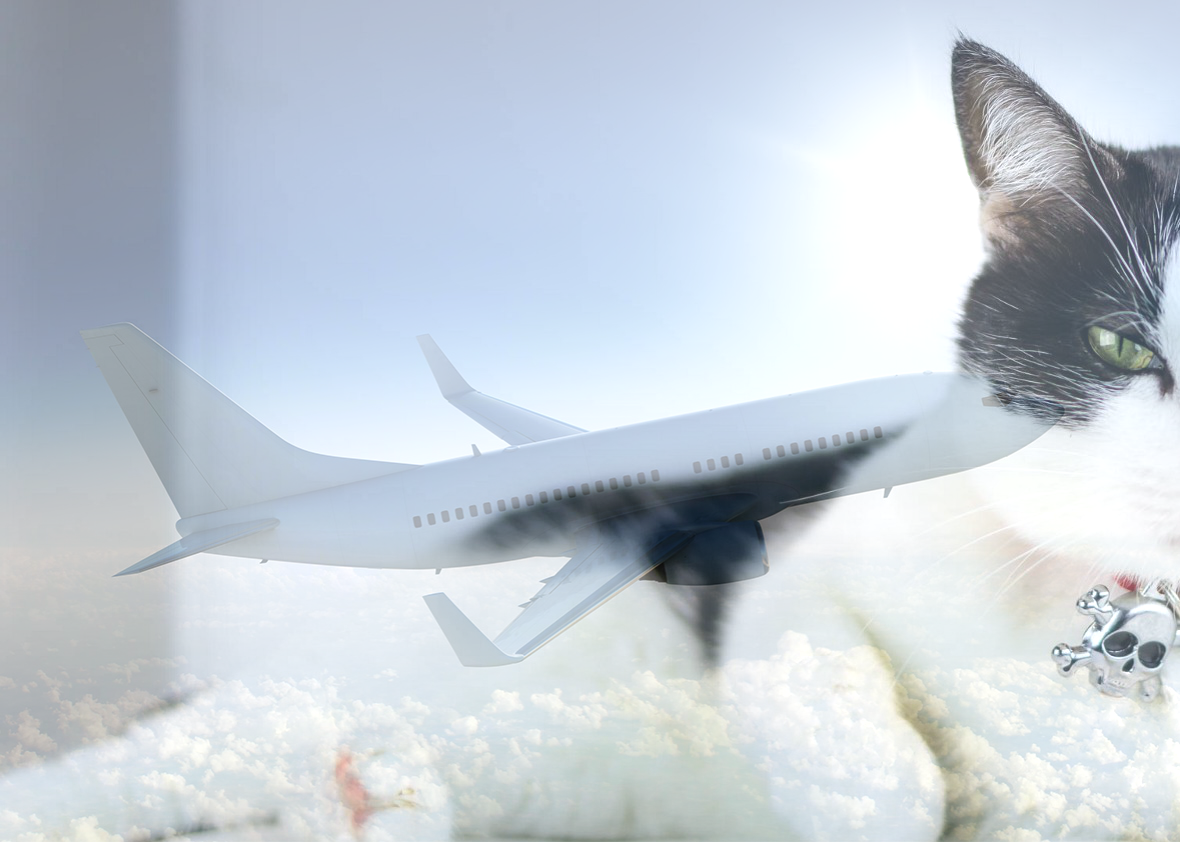 Prelínanie dvoch obrázkov v Pythone - Analýza obrazu a videa v Pythone