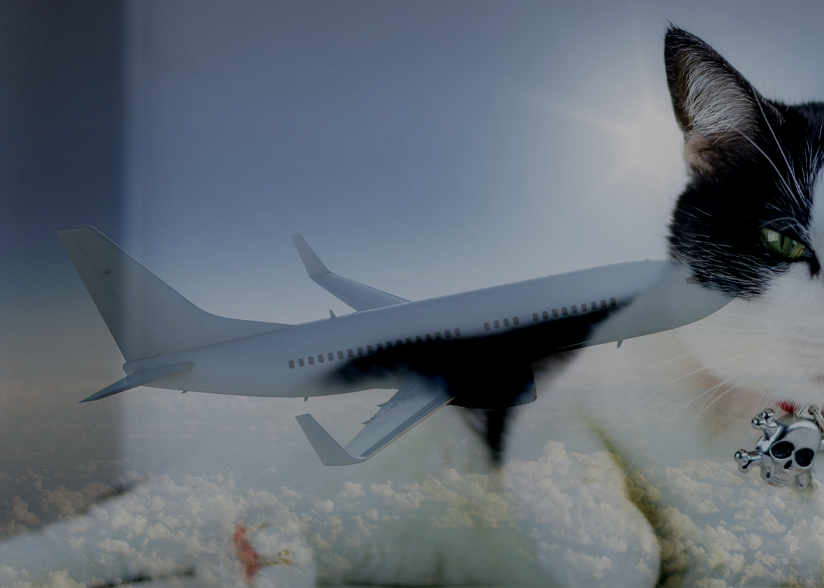 Prelínanie dvoch obrázkov v Pythone s úpravou svetlosti pomocou hodnoty gamma - Analýza obrazu a videa v Pythone