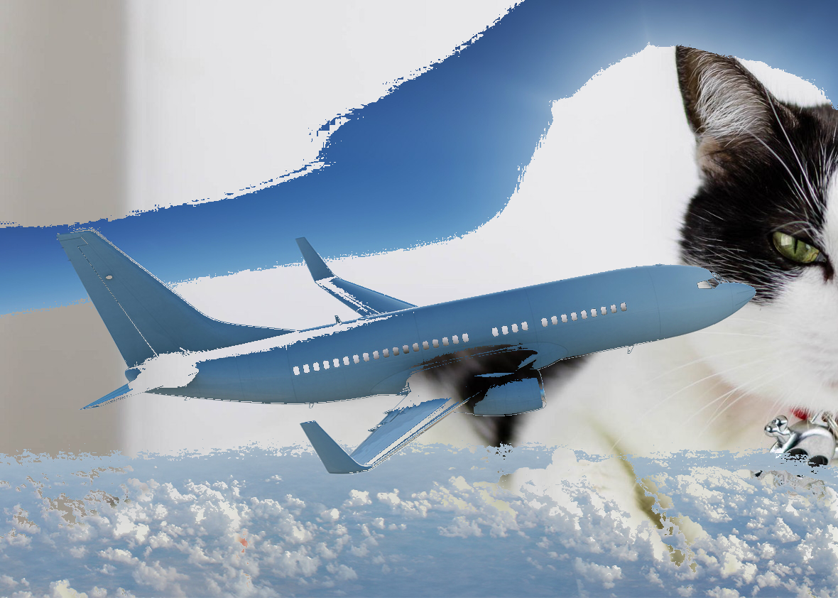 Analýza obrazu a videa v Pythone