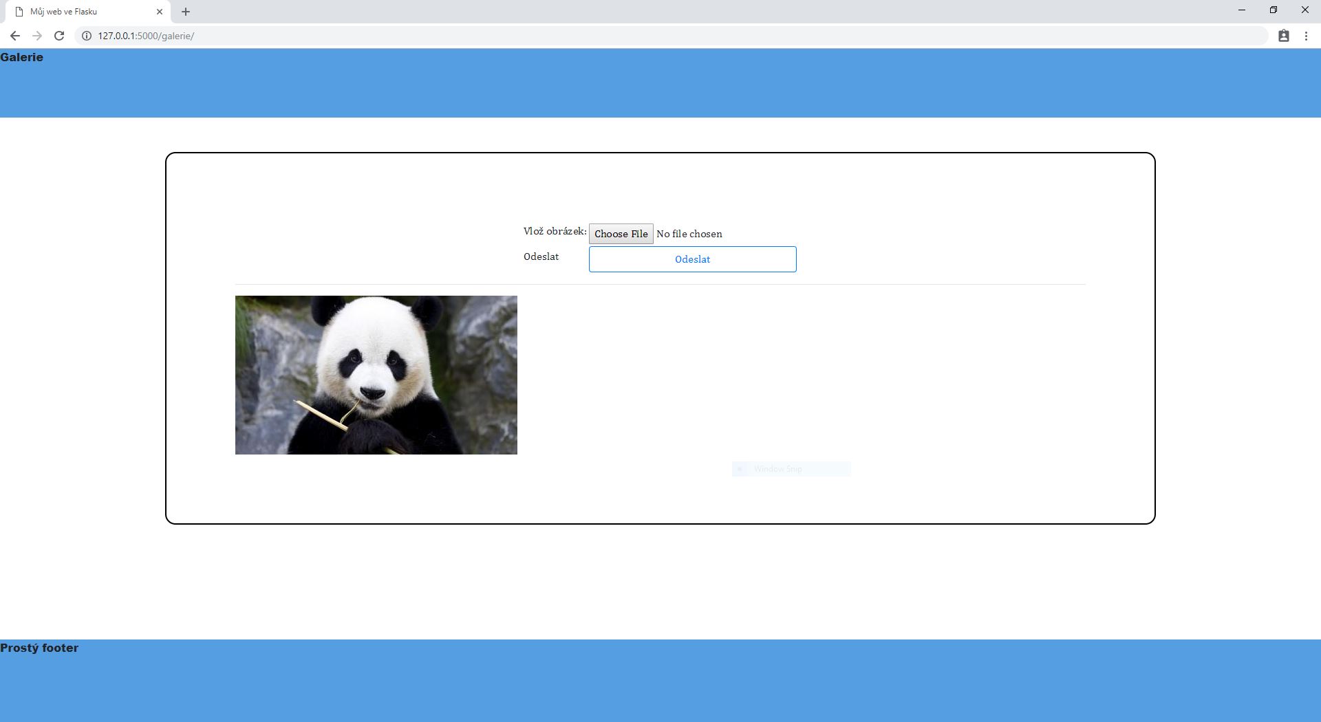 Galéria obrázkov vo Flask frameworku v Pythone - Flask framework pre Python