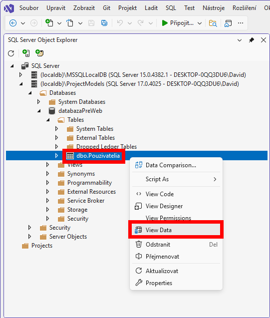View Data - MS-SQL databázy krok za krokom