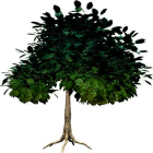 Vytvárame textúry - 2D objekty