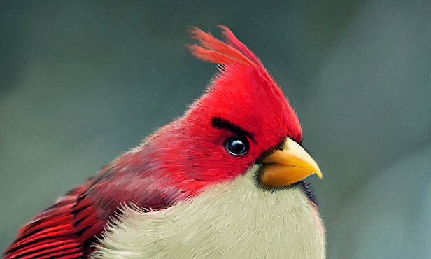 Angry bird - Objektovo orientované programovanie v Jave - Objektovo orientované programovanie v Jave
