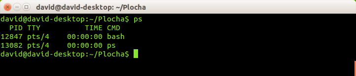 Výpis bežiacich procesov v Bash pomocou príkazu ps - Základy Linuxu
