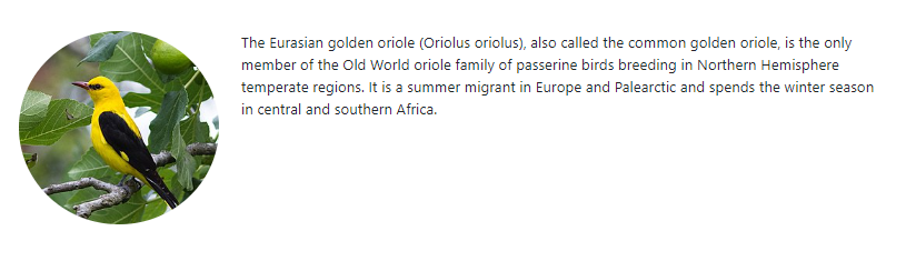 Ukážka hotovej stránky s vlhou - Kompletný kurz CSS frameworku Bootstrap