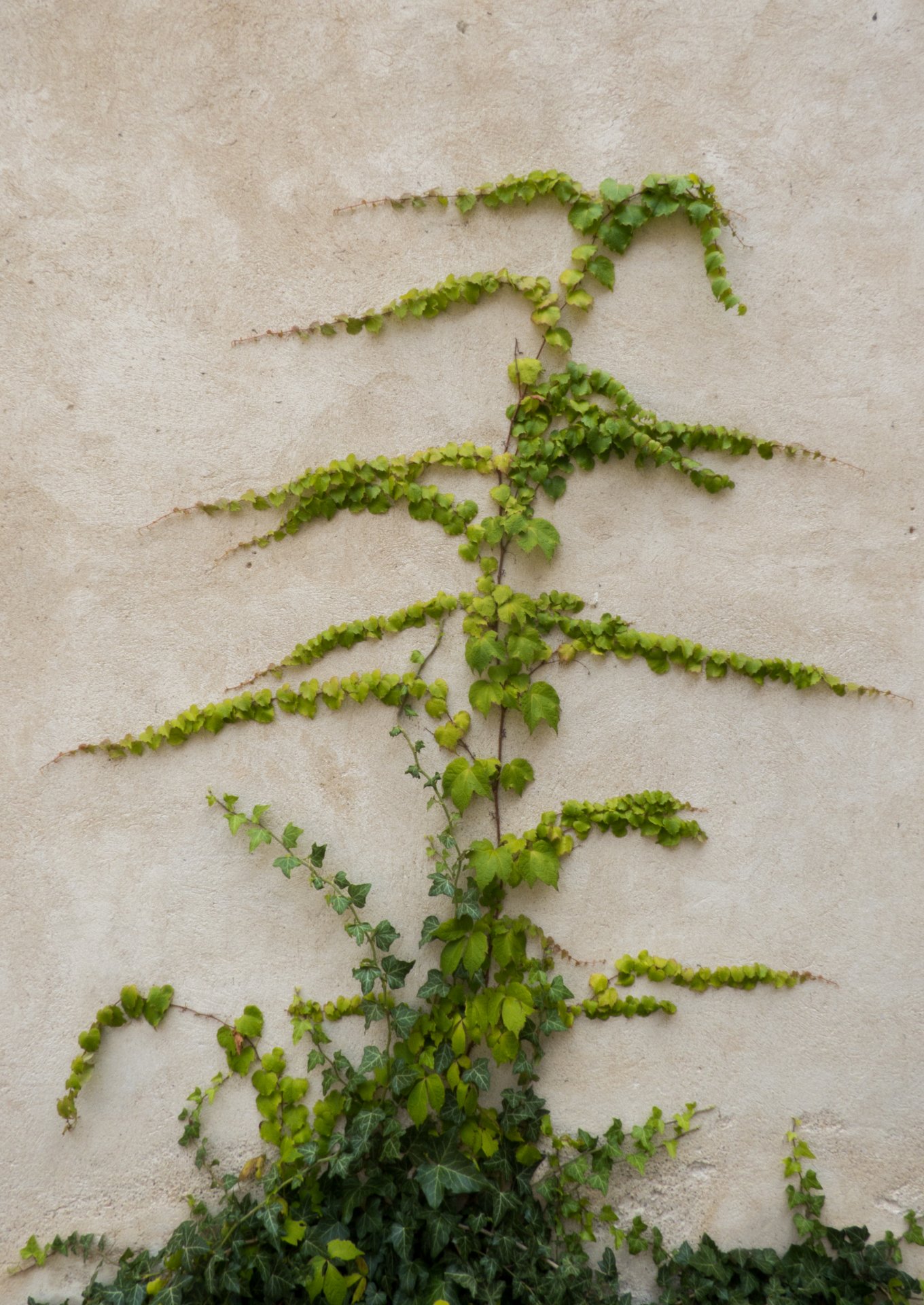 minimalizmus - Kreativita