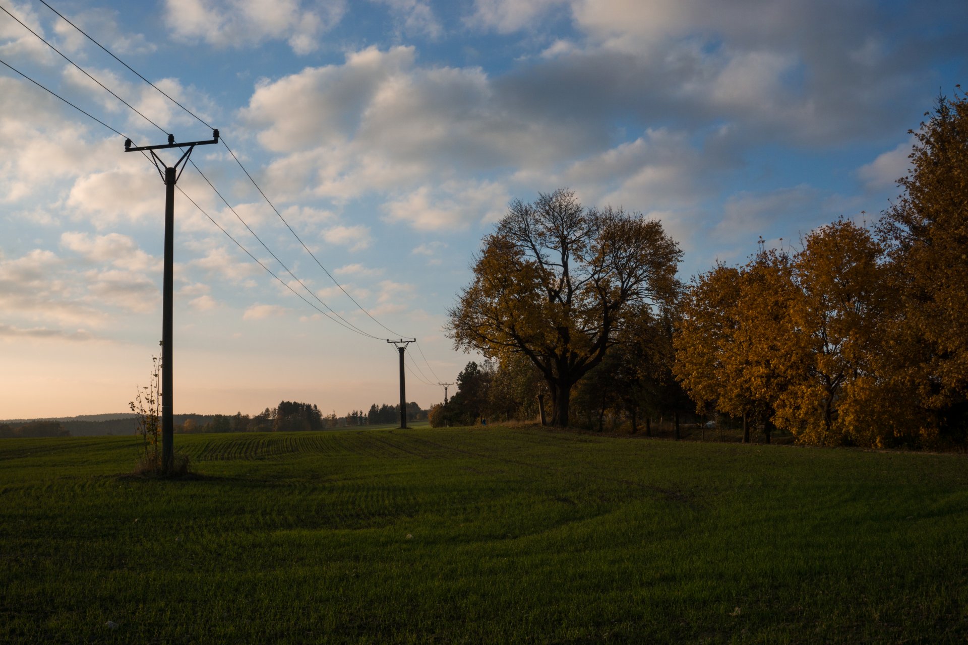 príroda - Fotografovanie