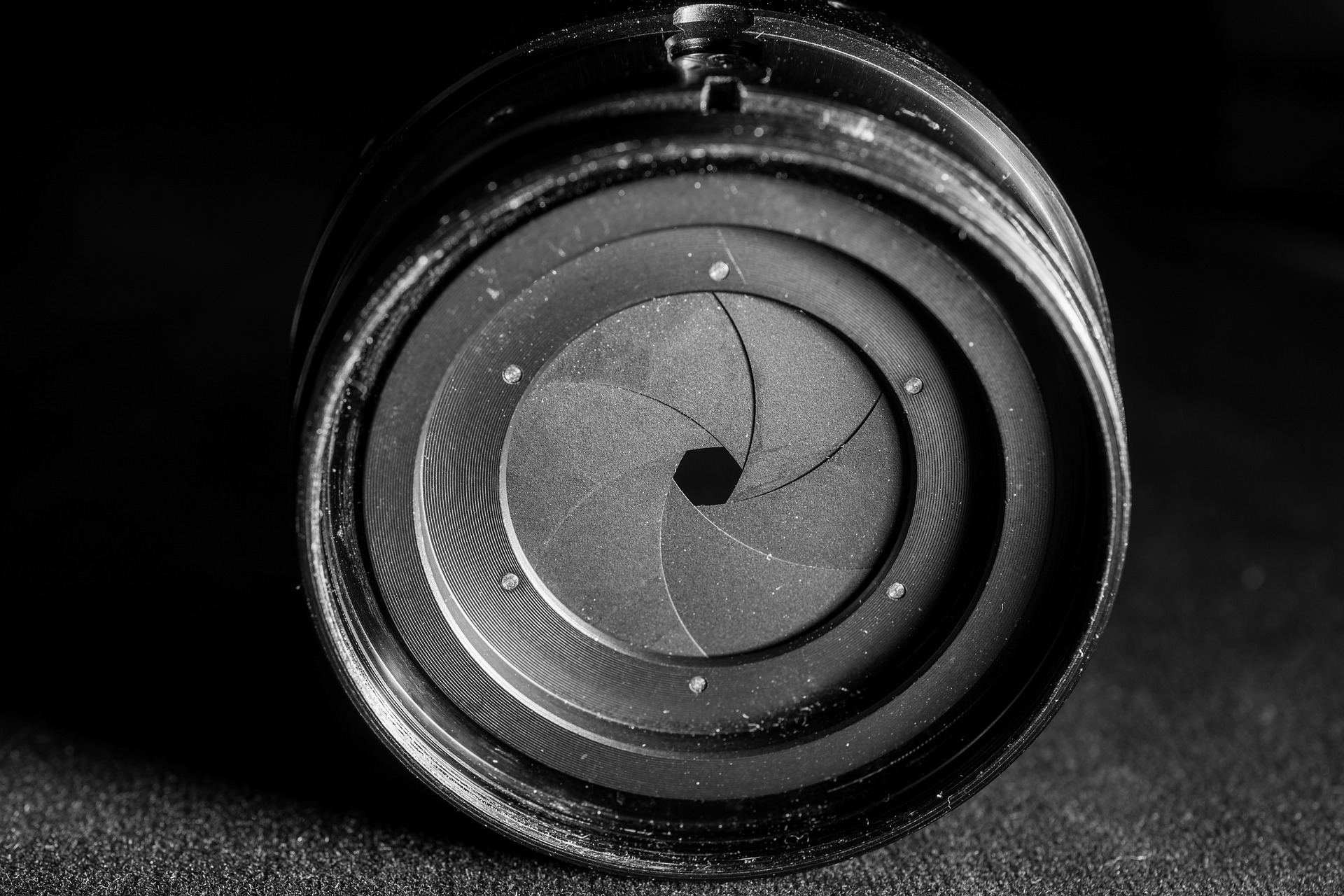 clona - Fotografovanie