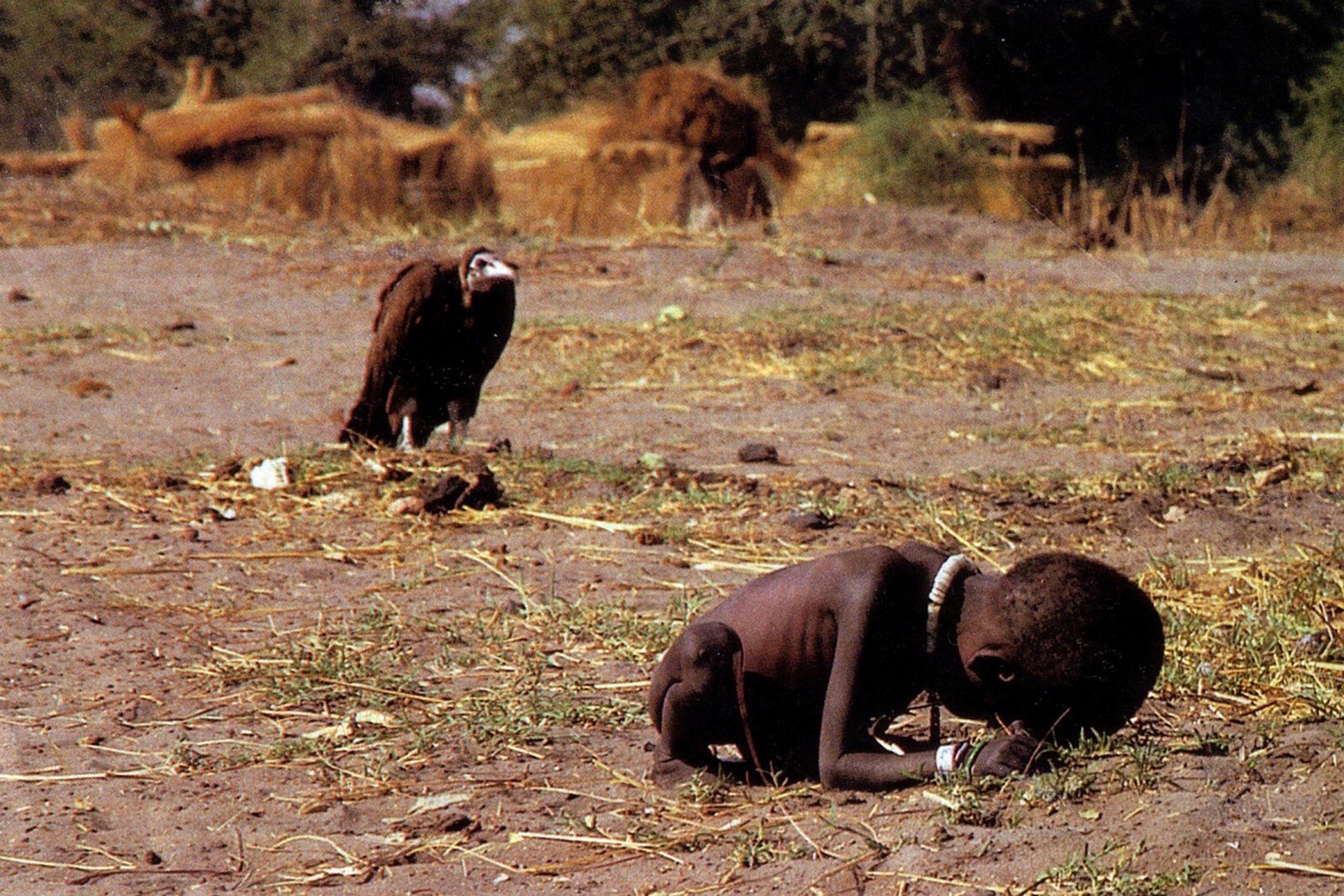 Kevin Carter - Kreativita