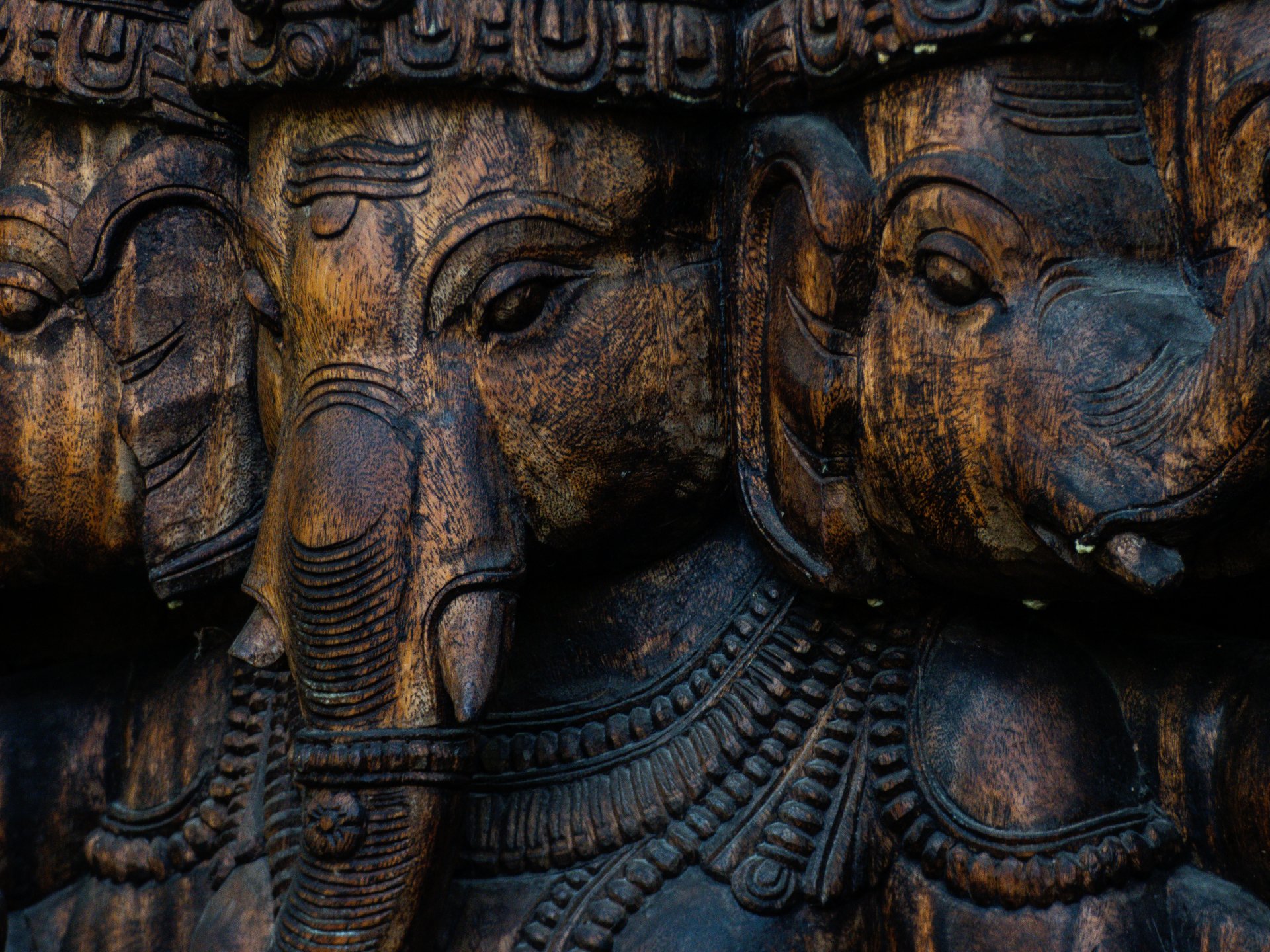drevený slon - Fotografovanie