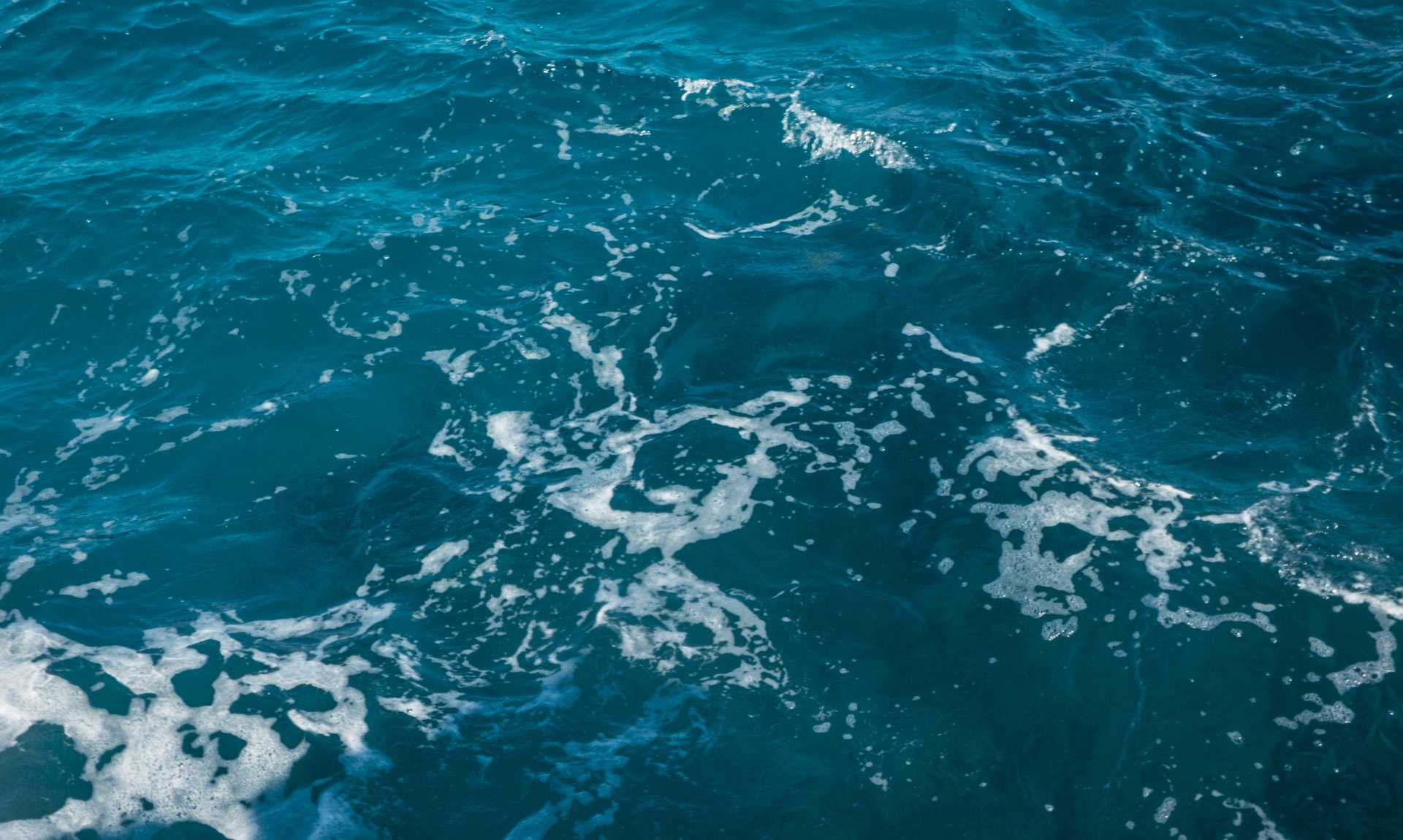 more - Fotografovanie