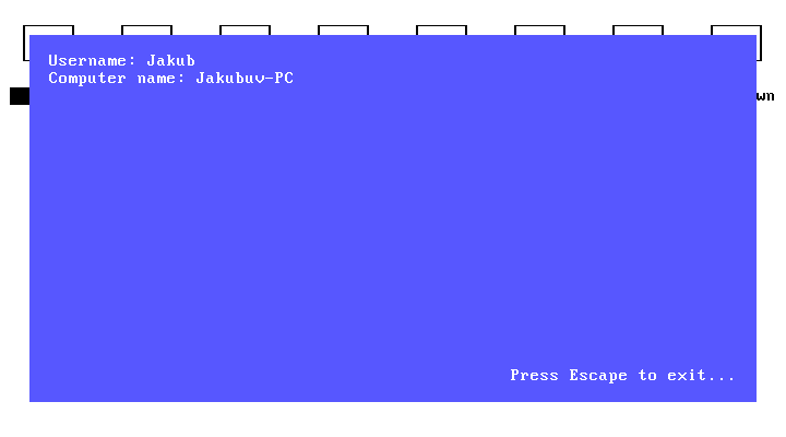 Spectrum User.exe - Assembler