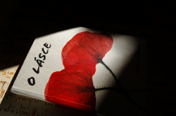 Kreatívne fotografovanie - Postprodukcia, svetlo a technika