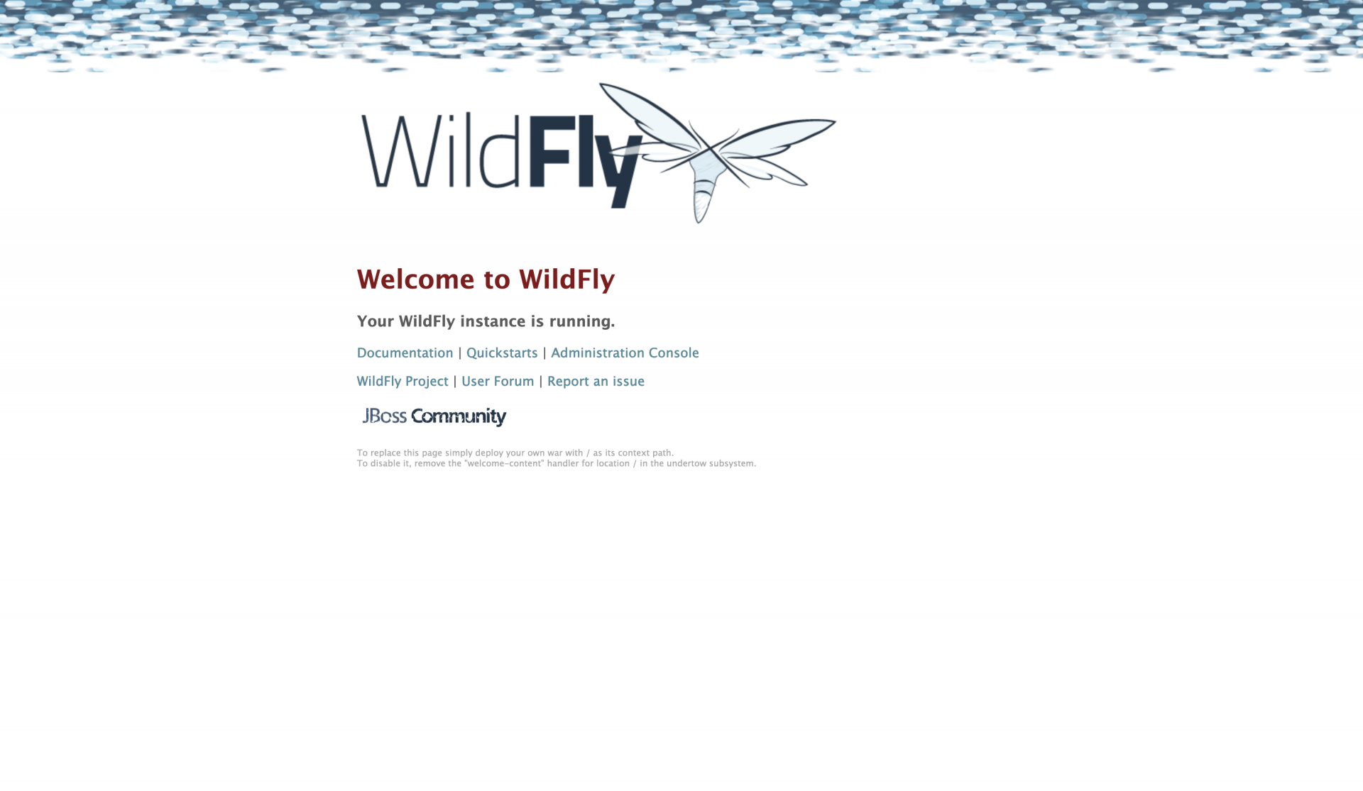 Wildfly home page - Java Enterprise Edition (JEE)