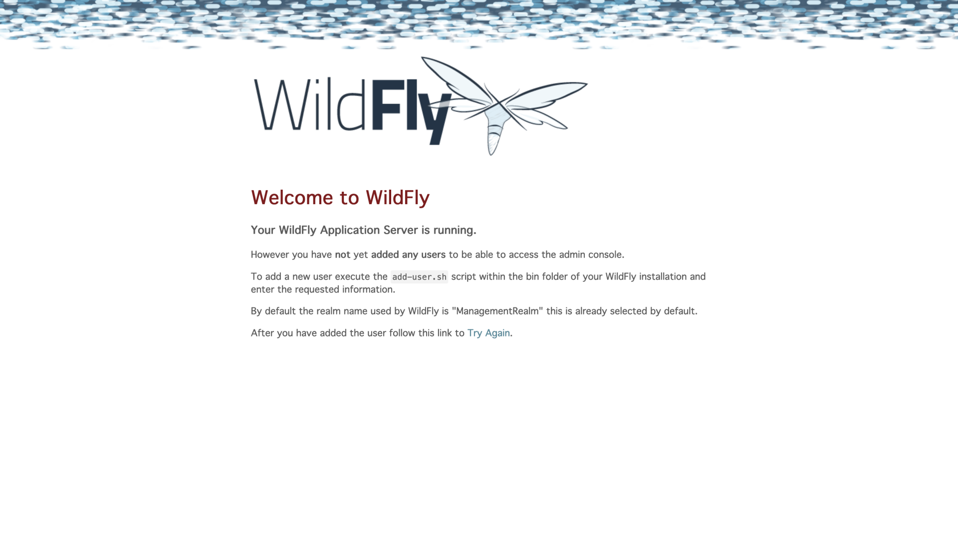 Wildfly požaduje pridanie užívateľa - Java Enterprise Edition (JEE)