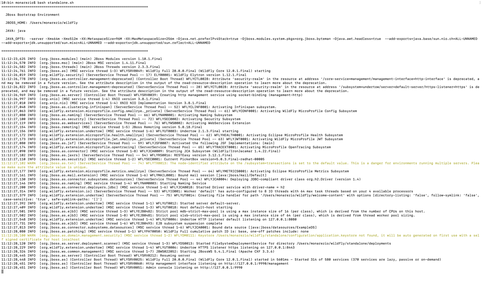 startup Wildfly - Java Enterprise Edition (JEE)