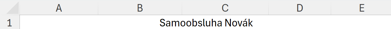 Ukážka tabuľky so zlúčenými bunkami - Základy Microsoft Excel