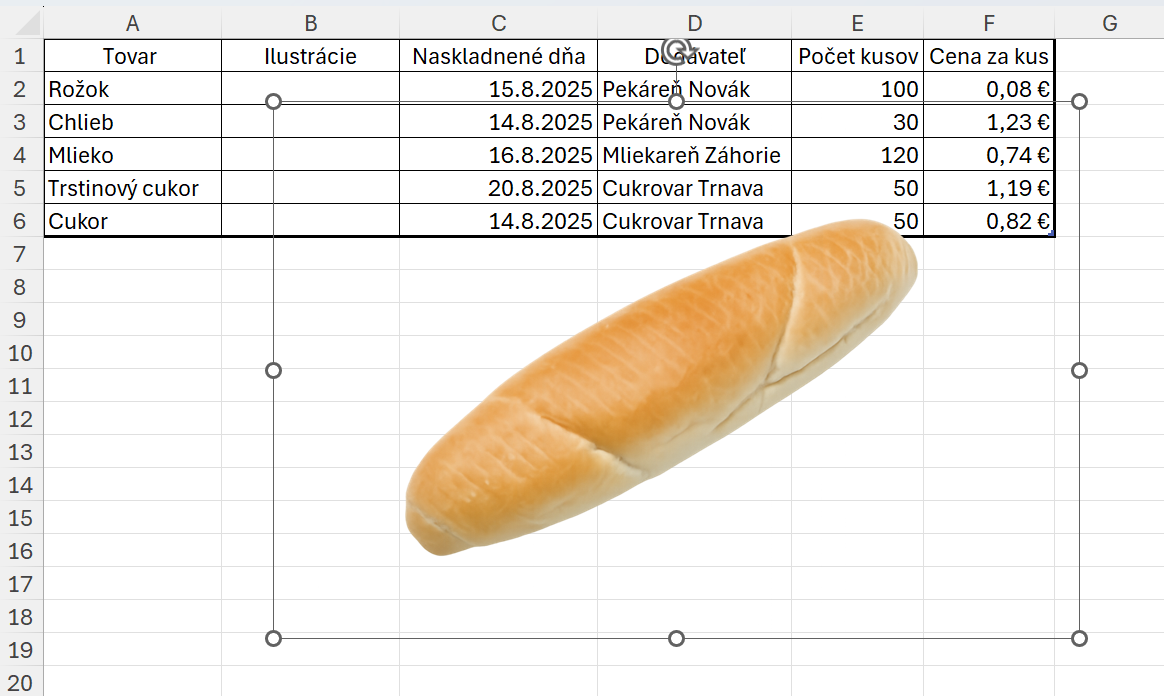 Vložený obrázok s predvolenou veľkosťou - Základy Microsoft Excel