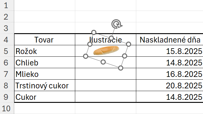 Ukážka otočenia obrázka - Základy Microsoft Excel