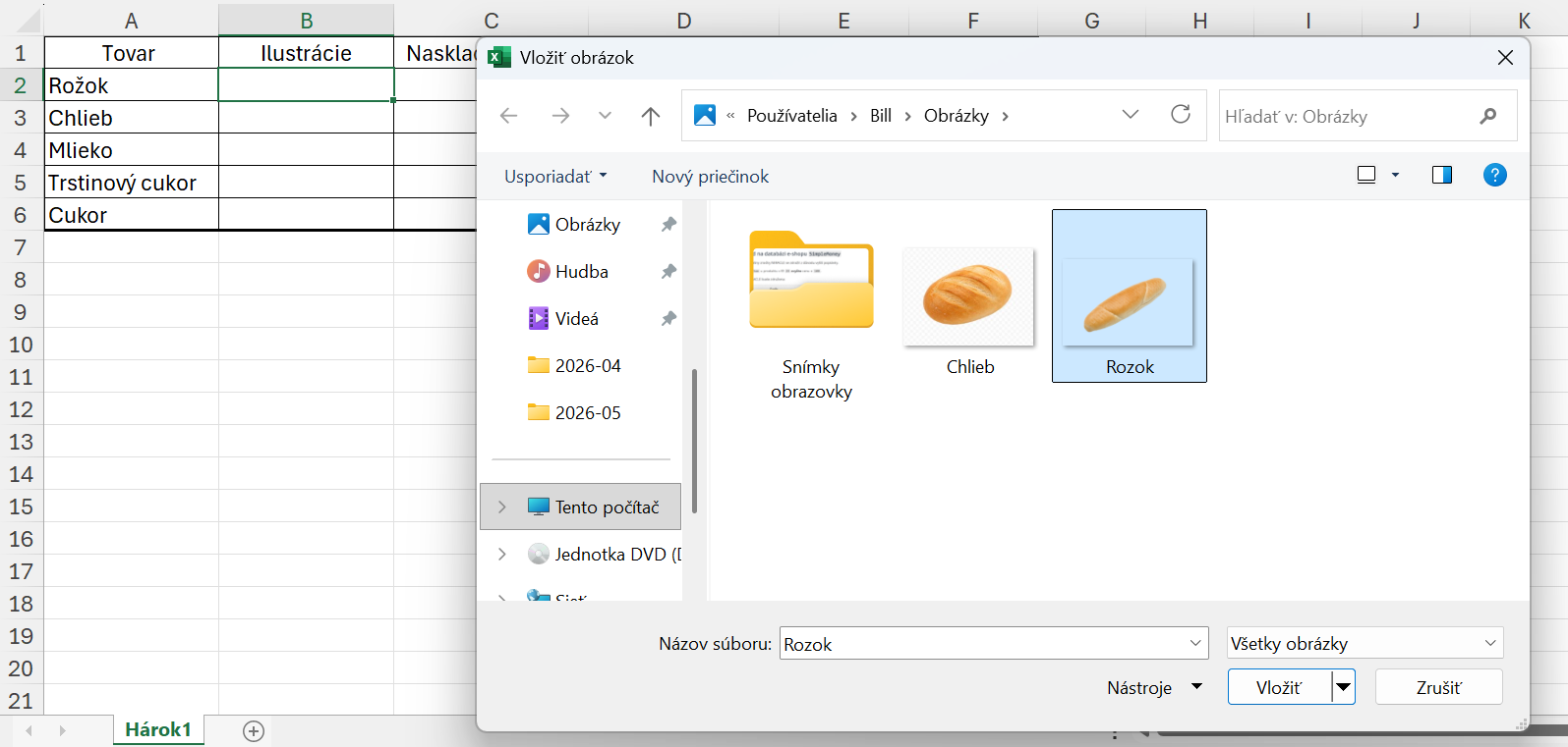 Výber obrázka v správcovi súborov - Základy Microsoft Excel
