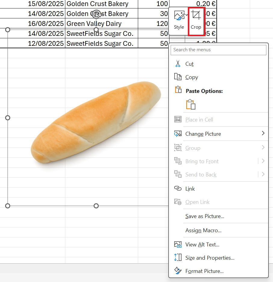 Ponuka orezania po kliknutí na obrázok - Základy Microsoft Excel