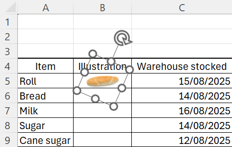 Ukážka otočenia obrázka - Základy Microsoft Excel