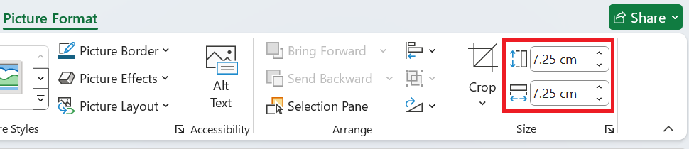 Karta Picture Format na úpravu veľkosti obrázka - Základy Microsoft Excel