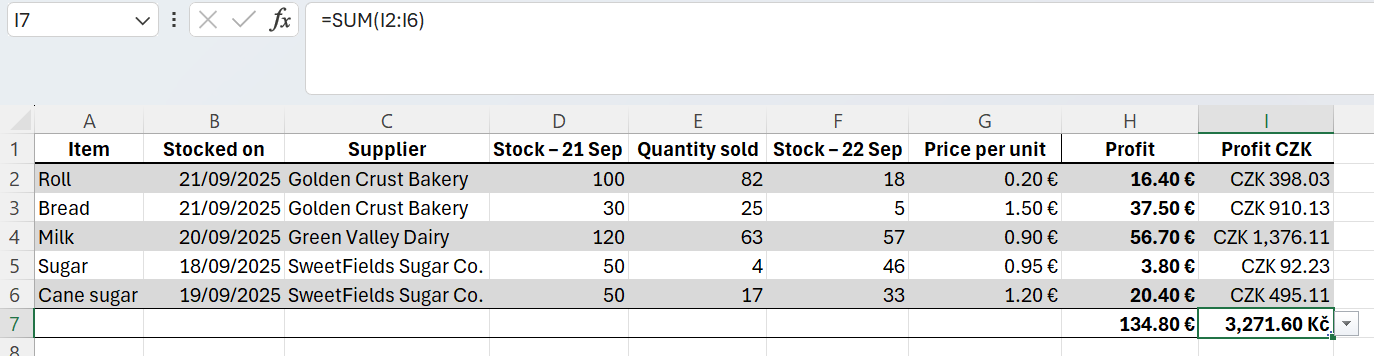 Výpočet celkového zisku v Kč a eurách - Základy Microsoft Excel