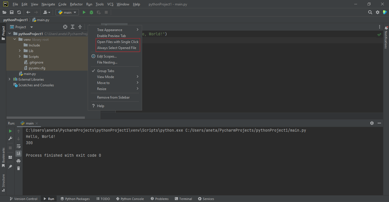 PyCharm - Pokročilá práca