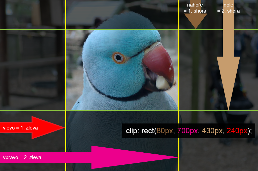 Papagáj: línia orezu - CSS3