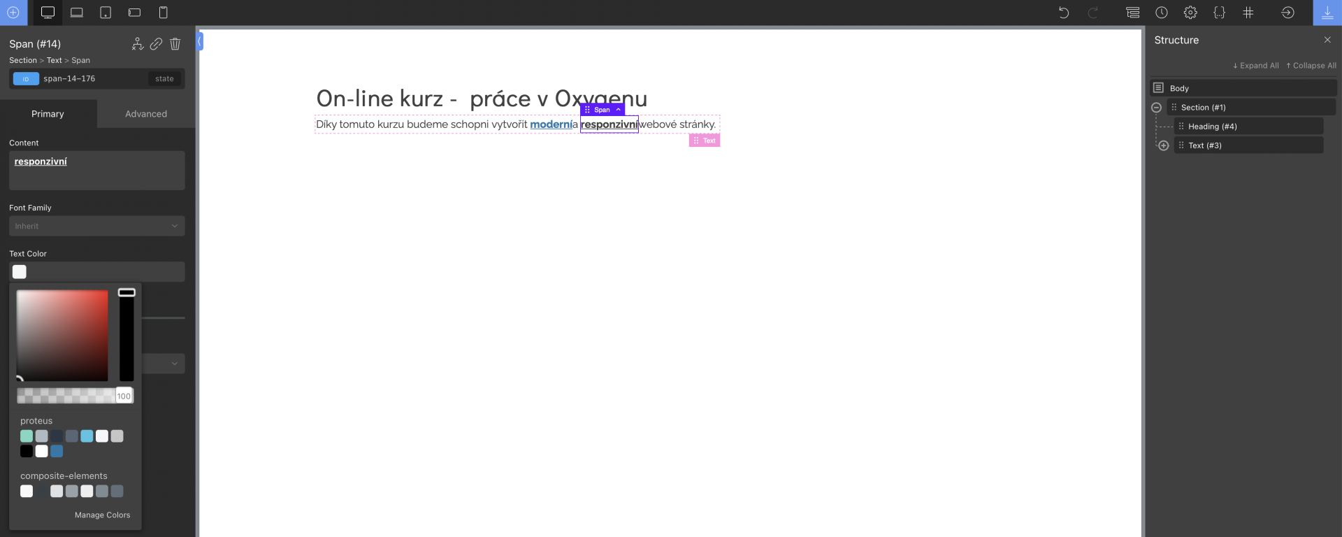 poľa span - Oxygen Builder