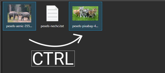 Využitie CTRL v prieskumníkovi - Úprava videa vo Vegas
