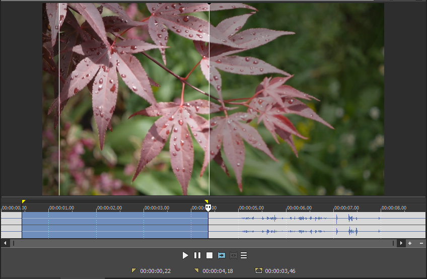 Trimmer1 - Úprava videa vo Vegas