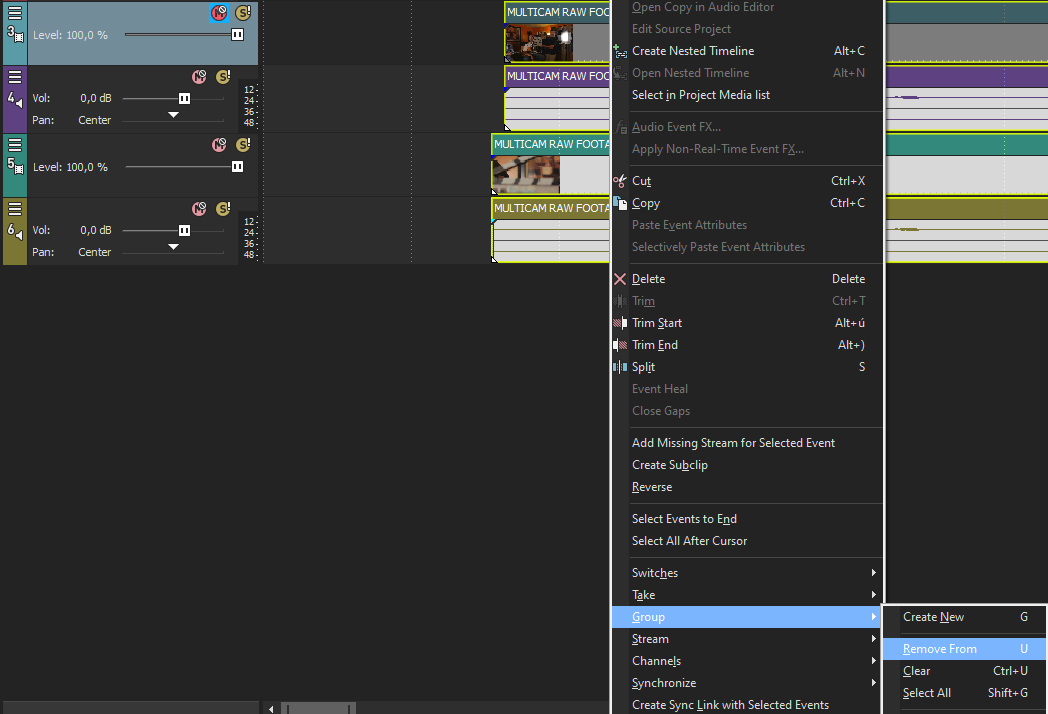 RemoveFromGroup - Úprava videa vo Vegas