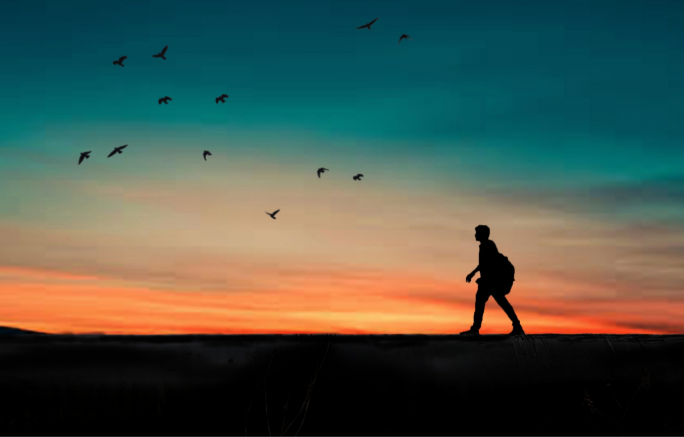 Pokročilá tvorba v Adobe Illustrator