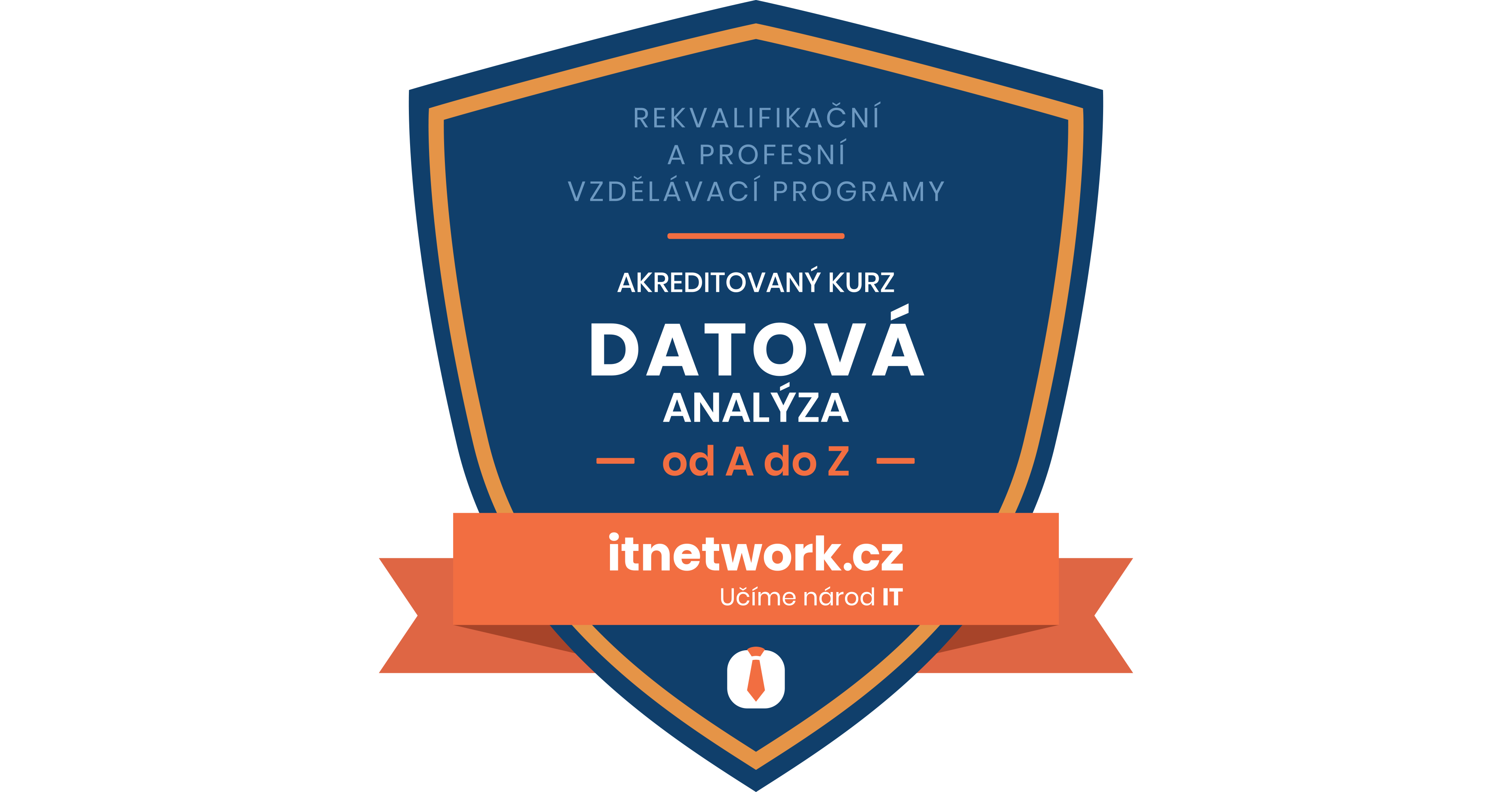 Datový analytik/datová analytička