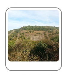 Priložený obrázok