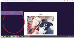 Priložený obrázok