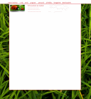 Priložený obrázok